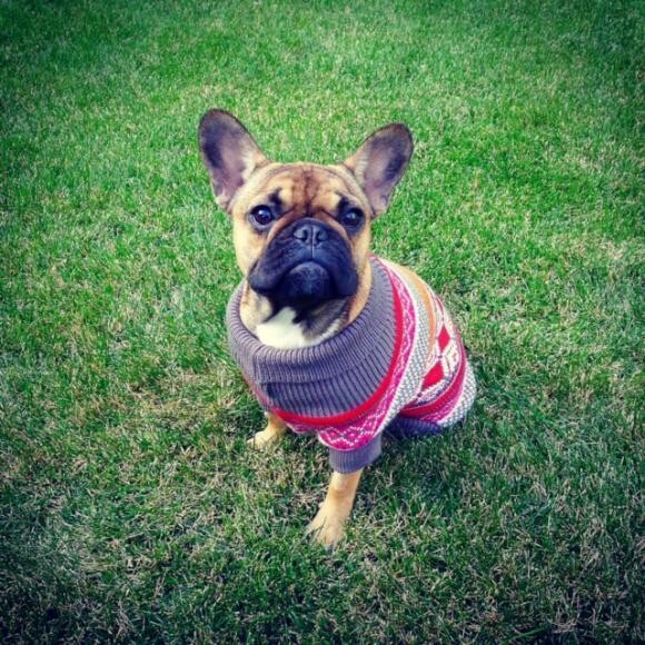 Ruby loves her extensive wardrobe!
