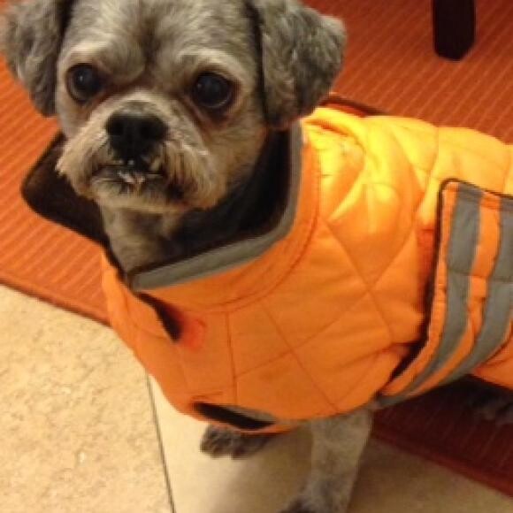 Mom, I don't like this new rain jacket at all!!!