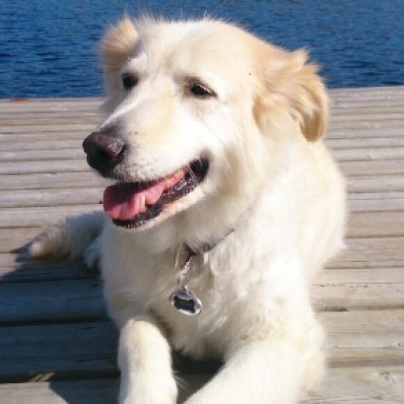 Chillin' at the cottage
