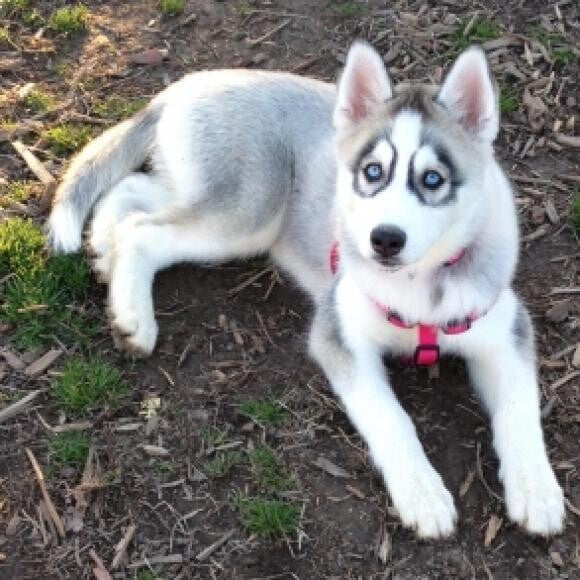 Quinn at 15 weeks