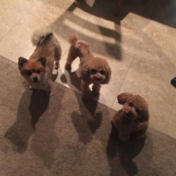 All here