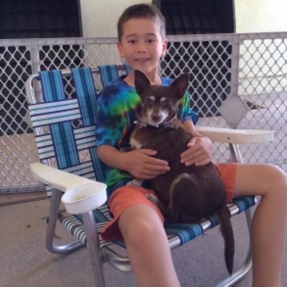 The day we met Happy. She was so overweight, she looked like a racoon