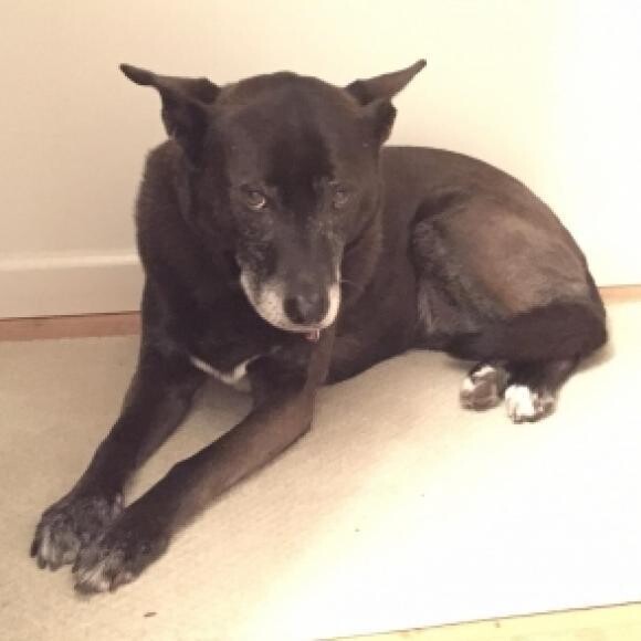 Kia, our sweet little girl.