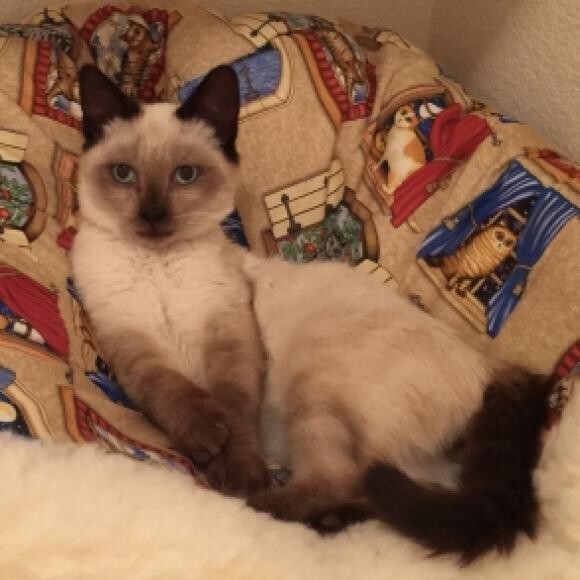 Milo