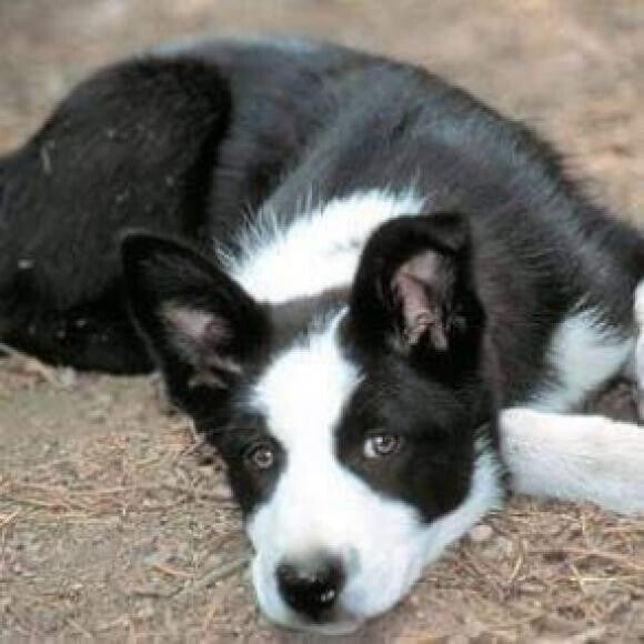 This is my boy as a baby in the Summer of 2000.