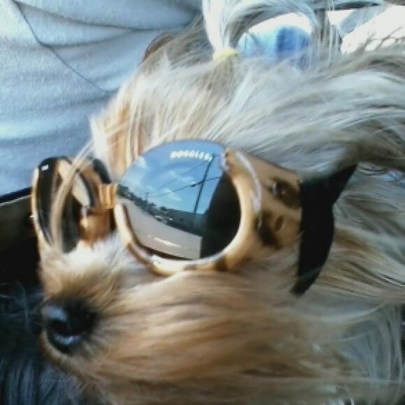 Rad Dude.. Jeep'n