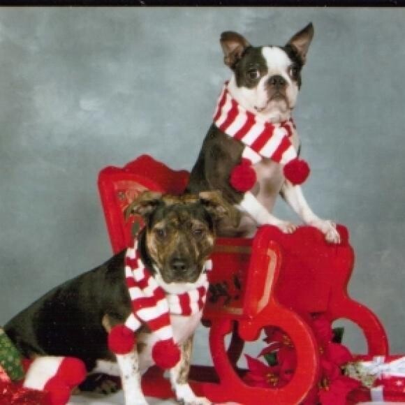 Waiting for Santa!