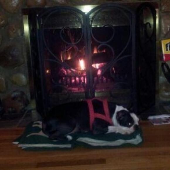 Keeping warm by the fire