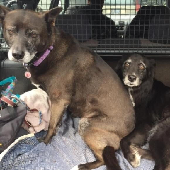 Kia loves to take up most of the space in the back of the Subaru.