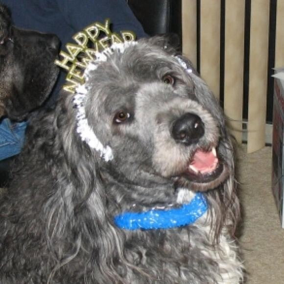 Kelsey celebrating New Years