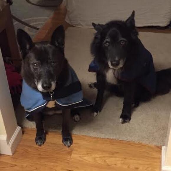 Brody (right) and Kia