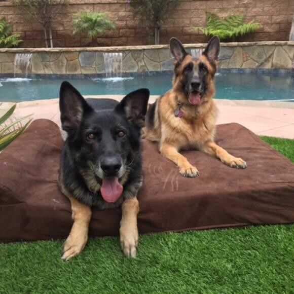 Luc & Rubie