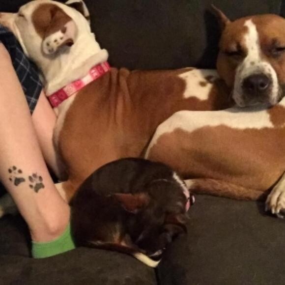 And my three girls curled up on the couch with me, happy as can be.
