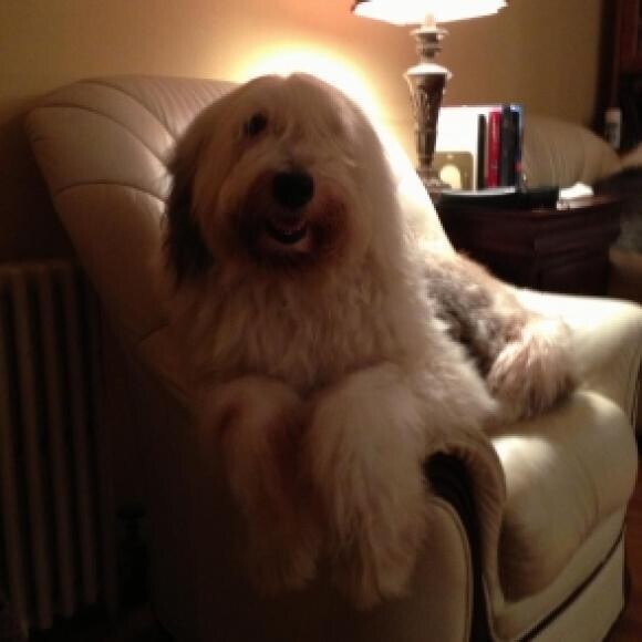 Mopsey in her chair.