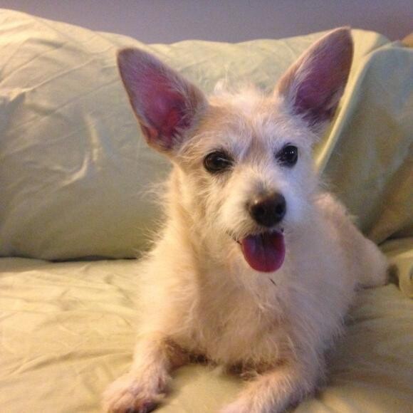 Our crazy haired Zoe!