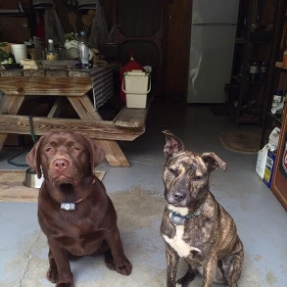 Just Chillin' .... Such Good Girls