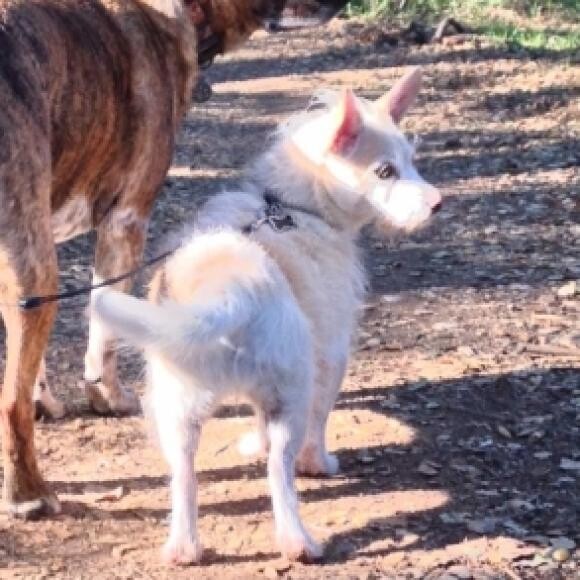Enjoying her favorite hike!
