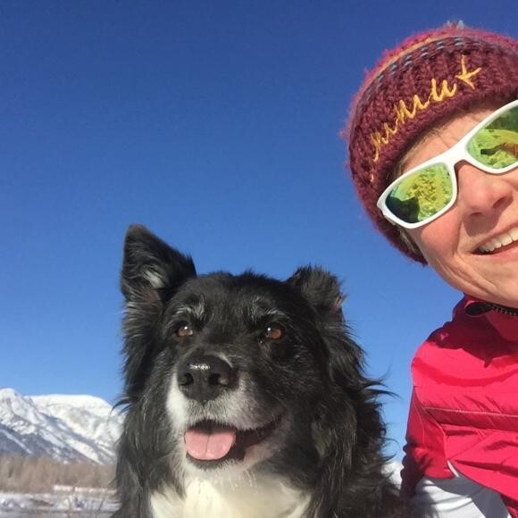12 Year Old Boarder Collie with old pelvic fracture and hip dislocation