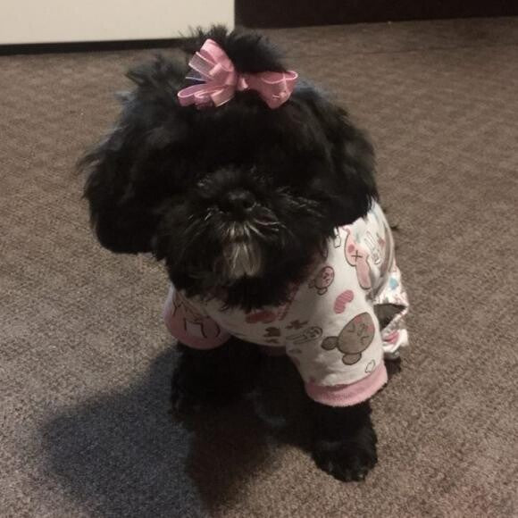 Meet Molly! Age 10mths