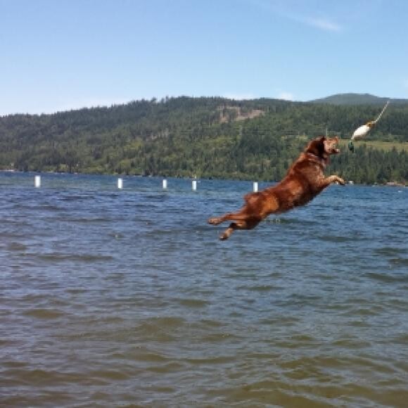 Catching some big air off the dock at the lake!