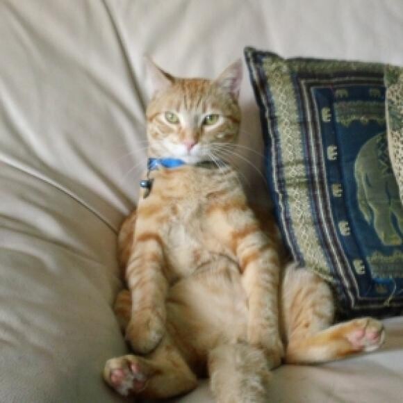 Just chill'n