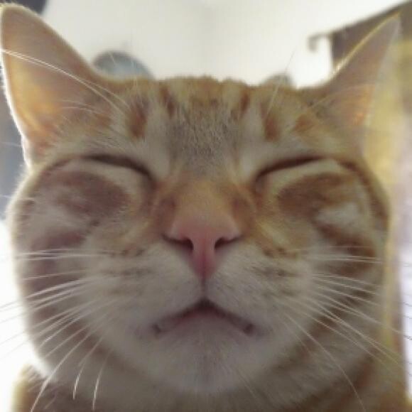 Ahhhhhhhhhhh