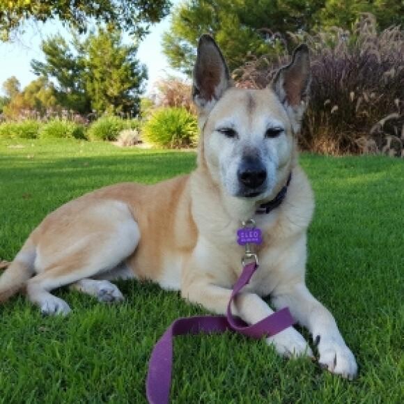 Doing quite well at 14 years old!