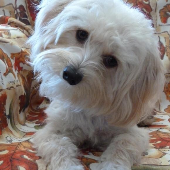 Penelope, age 3