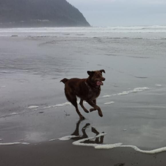 Having fun on the beach in Seaside, Oregon.