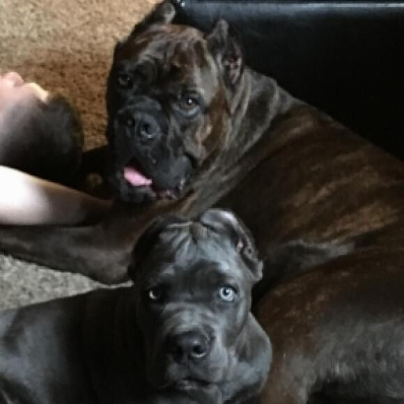 Brotherly Love!