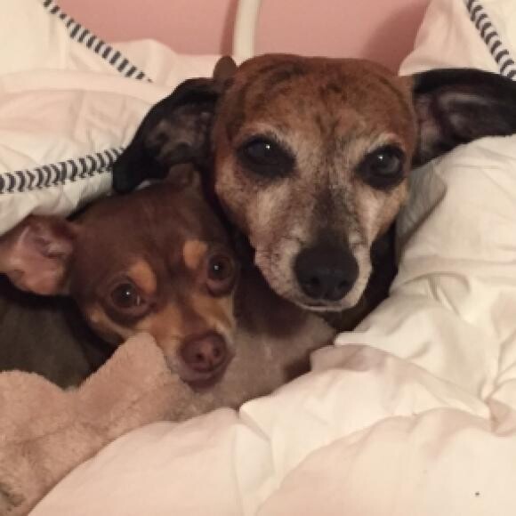 Fifi and her bff Lulu