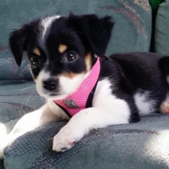 The day I rescued my Mom!