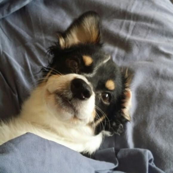 Good Morning!!