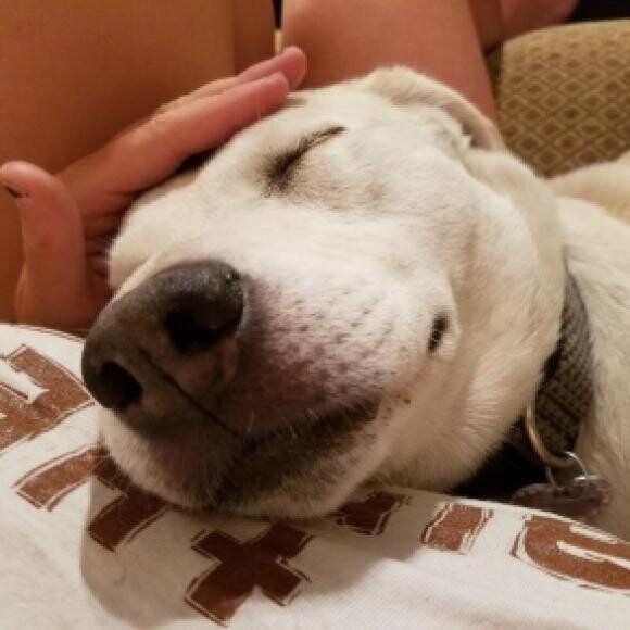 She's the best cuddler :)