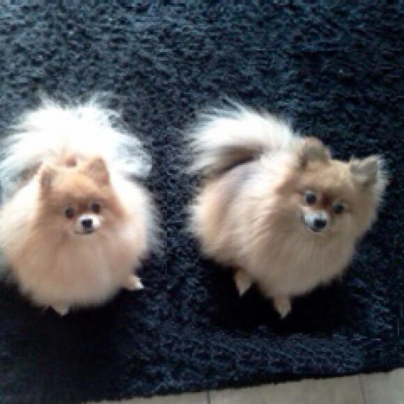 My Beautiful Twins