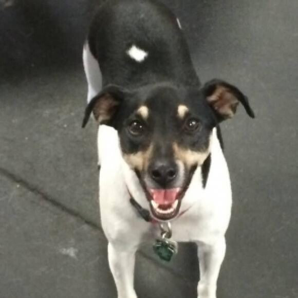 Having fun at daycare.