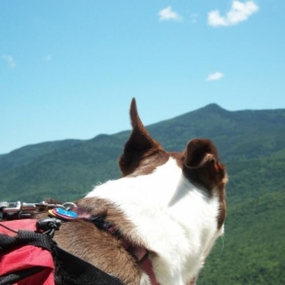Hershey at the top.