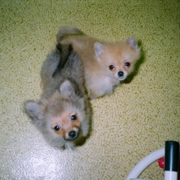 Born cute as can be!