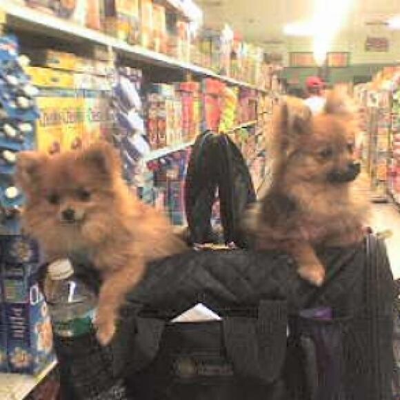 Just kept getting cuter!