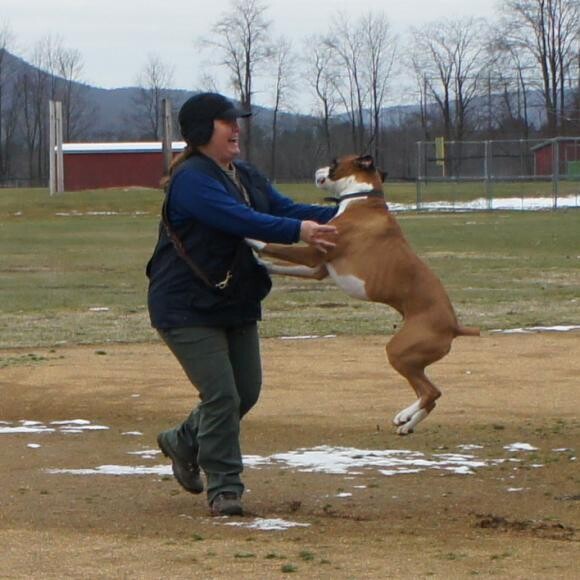 Rhino at play