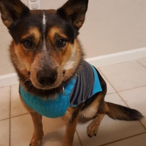 About to go for a winter run!