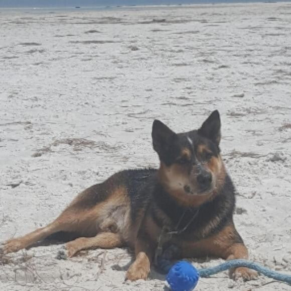 Dallas enjoying the Florida sunshine!