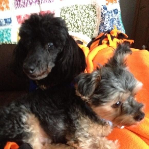 Marko & Benny recently