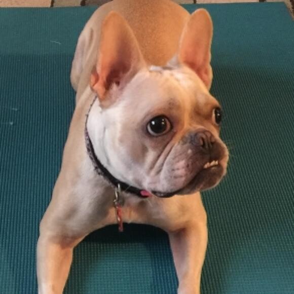Here she is less than 1 month later!