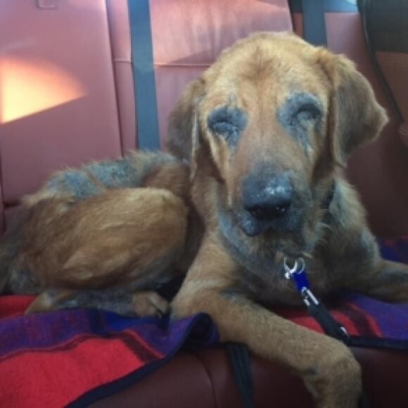 Clyde Before - upon arrival.
