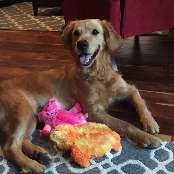 Maggie- a few days after we brought her home