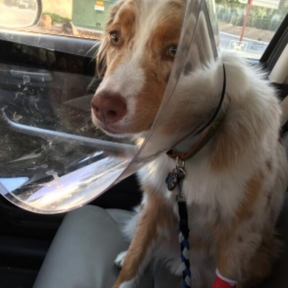 Before THK: nThis is humiliating! I'm tired of being poked and prodded!