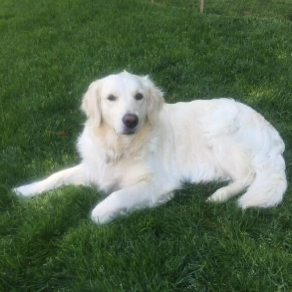 Love the Summer Days