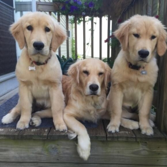 Mama's in the middle