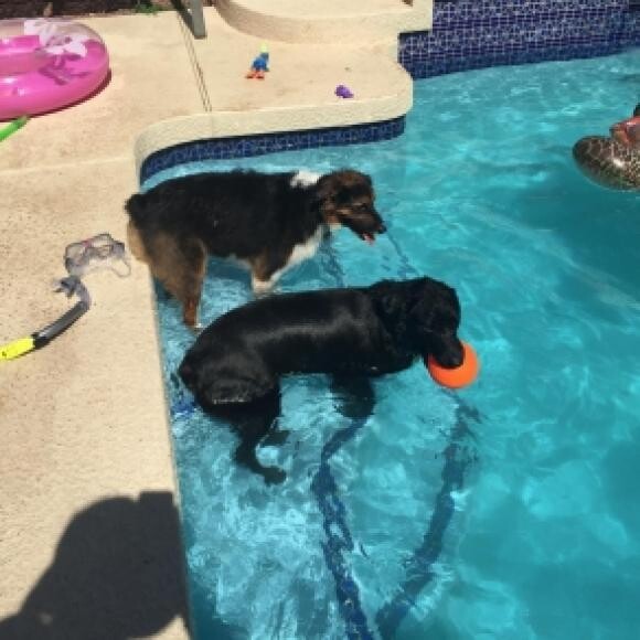 His favorite pass time, in the pool playing ball with his sister